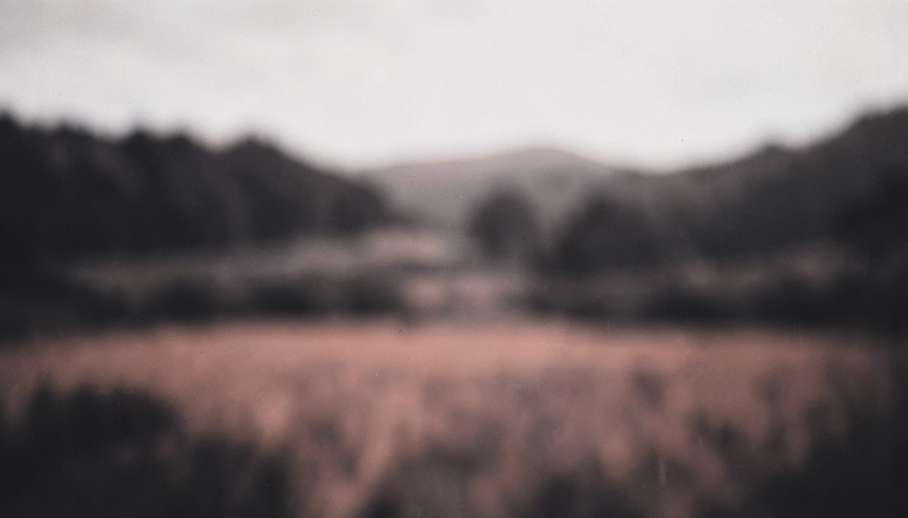 A duotone photograph in dark gray and muted coral tones showing a soft blurred landscape with a tranquil mood